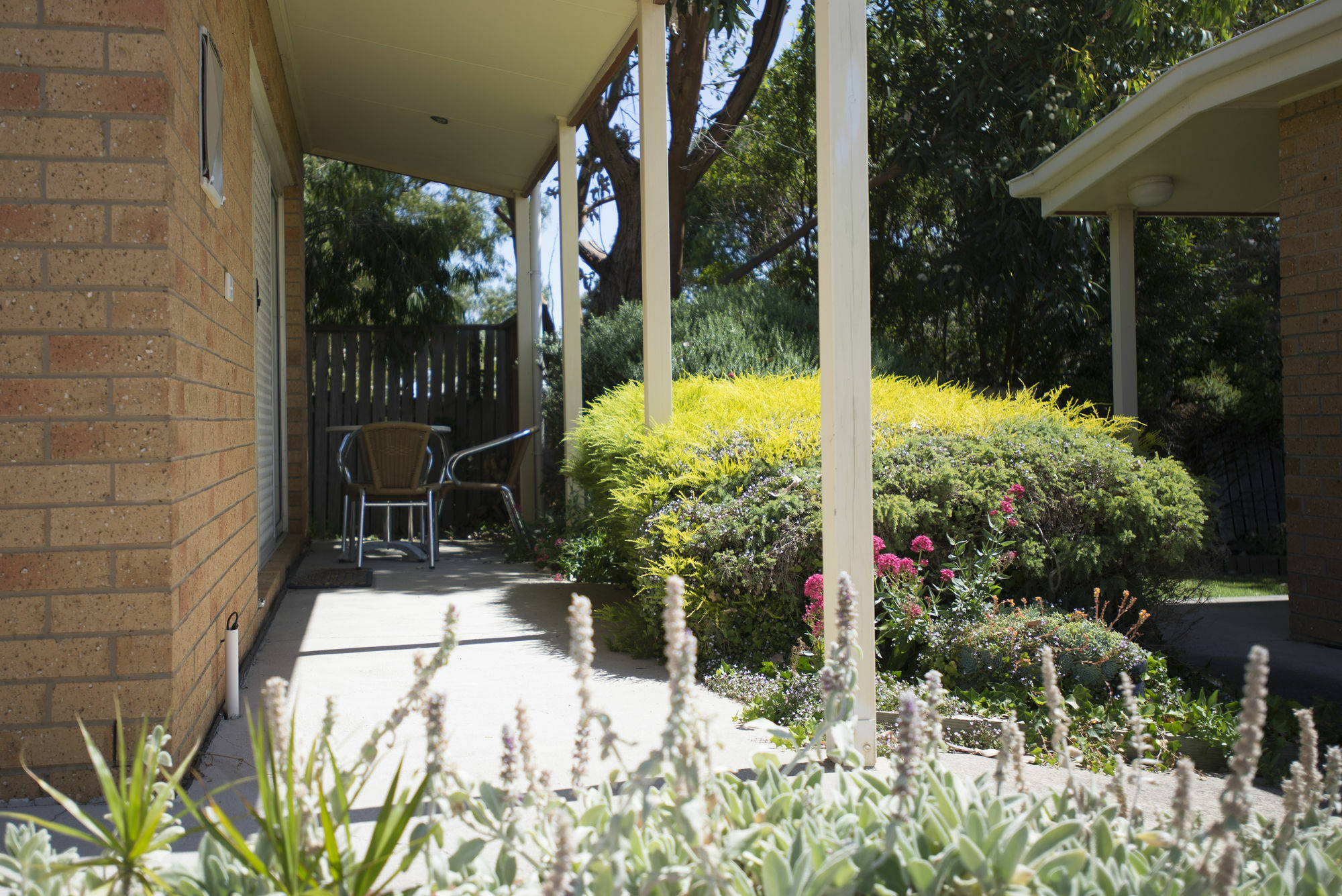 Port Campbell Parkview Motel & Apartments Exterior foto